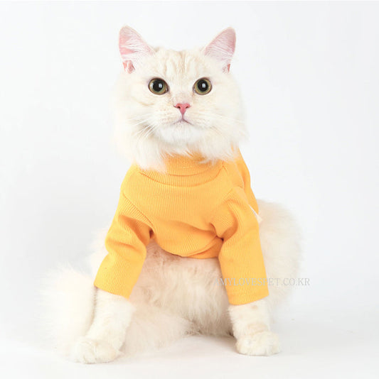 White fluffy cat wearing a yellow turtleneck cat sweater sitting on a white background