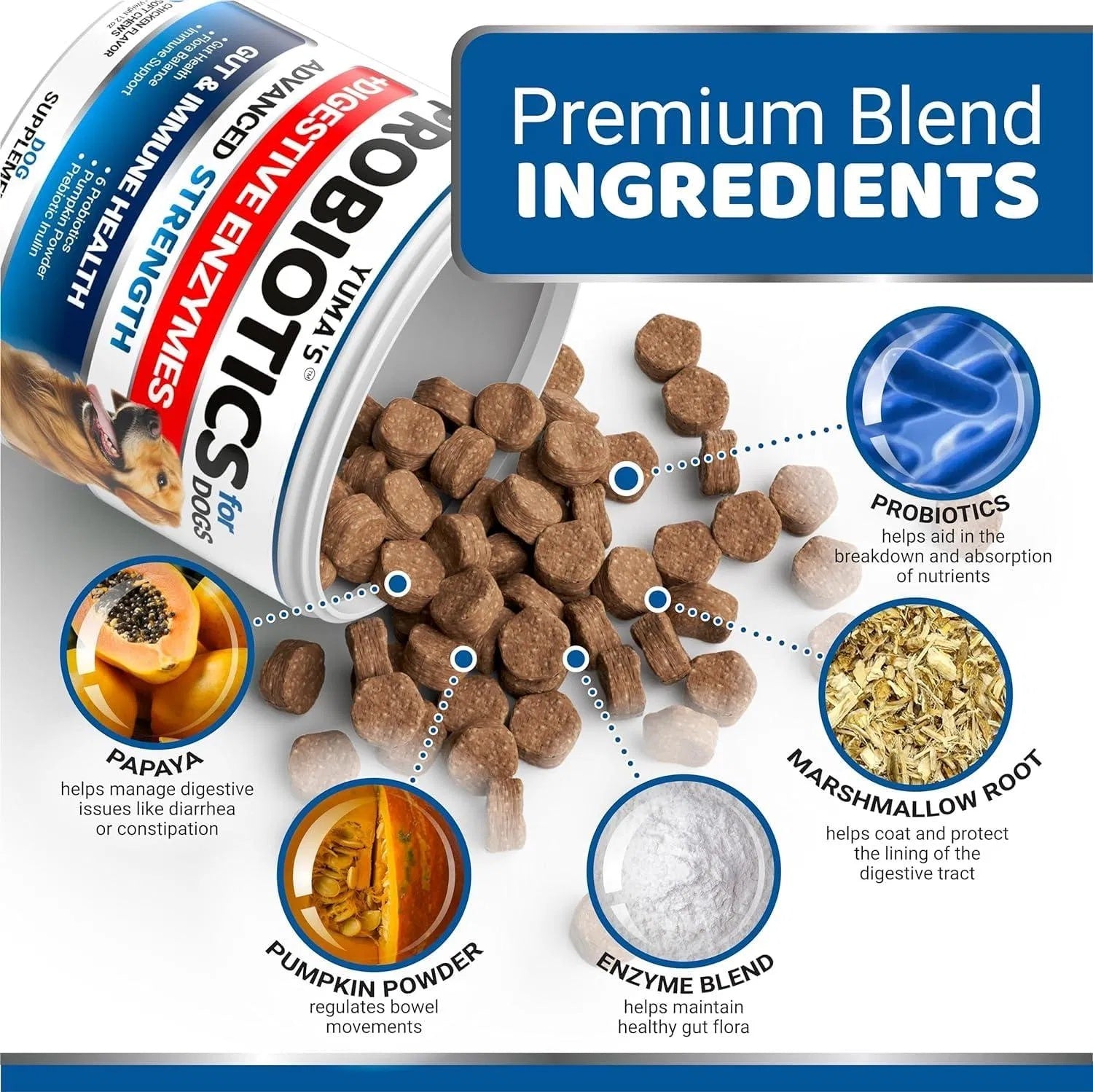 Orange Poppy dog supplement kibble spilled with ingredient callouts showing probiotics for dogs and marshmallow root